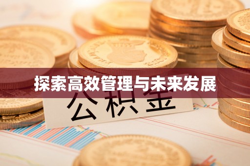 襄阳探索高效管理与未来发展