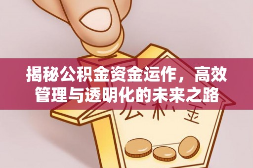 襄阳揭秘公积金资金运作，高效管理与透明化的未来之路