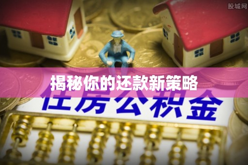 襄阳揭秘你的还款新策略