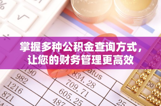 襄阳掌握多种公积金查询方式，让您的财务管理更高效