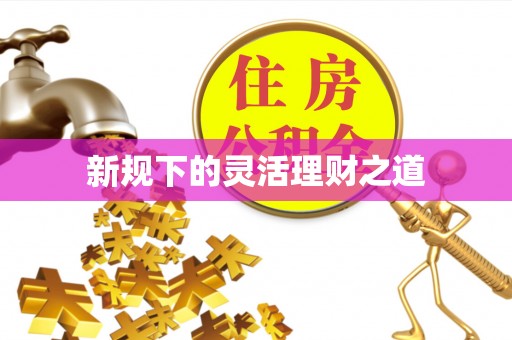 襄阳新规下的灵活理财之道
