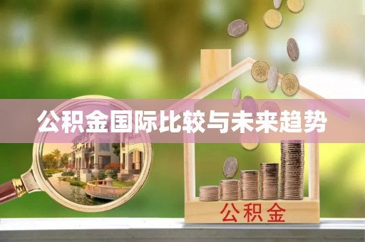 襄阳公积金国际比较与未来趋势