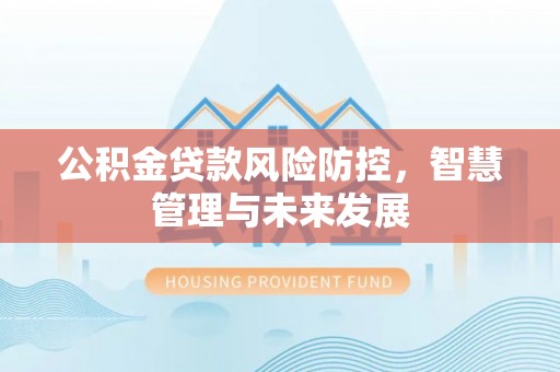 襄阳公积金贷款风险防控，智慧管理与未来发展