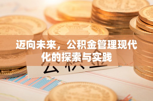襄阳迈向未来，公积金管理现代化的探索与实践