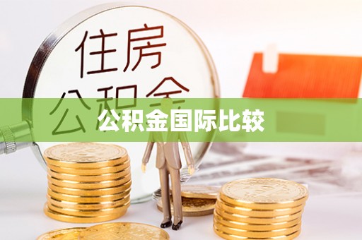 襄阳公积金国际比较