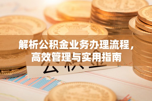 襄阳解析公积金业务办理流程，高效管理与实用指南