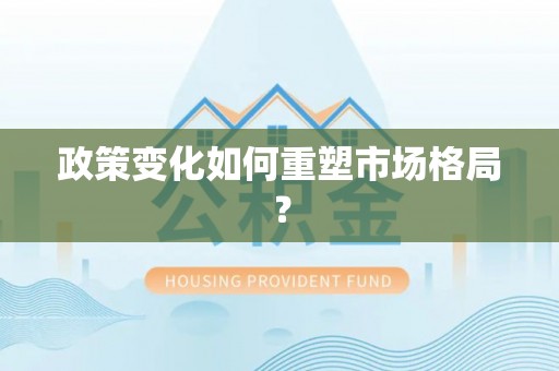 襄阳政策变化如何重塑市场格局？