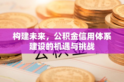襄阳构建未来，公积金信用体系建设的机遇与挑战