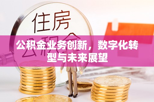 襄阳公积金业务创新，数字化转型与未来展望
