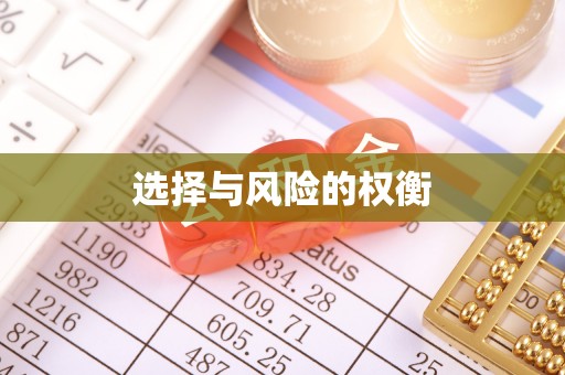 襄阳选择与风险的权衡