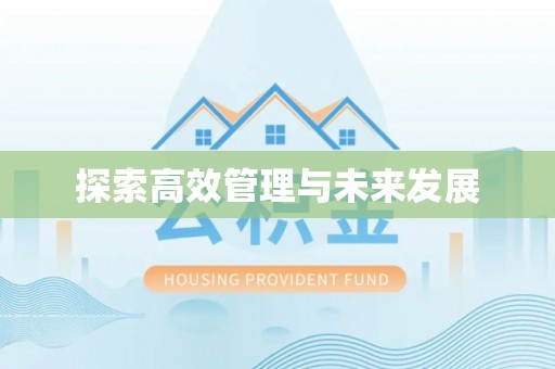 襄阳探索高效管理与未来发展