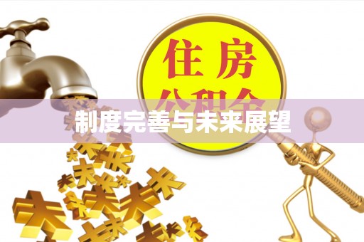 襄阳制度完善与未来展望