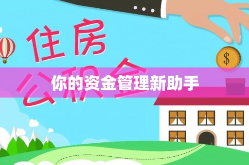 襄阳你的资金管理新助手