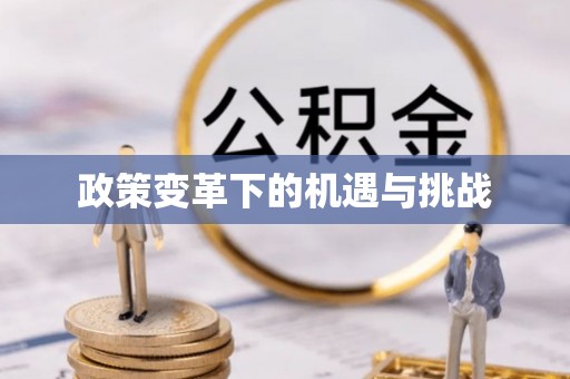 襄阳政策变革下的机遇与挑战