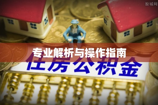 襄阳专业解析与操作指南