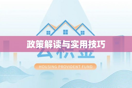 襄阳政策解读与实用技巧