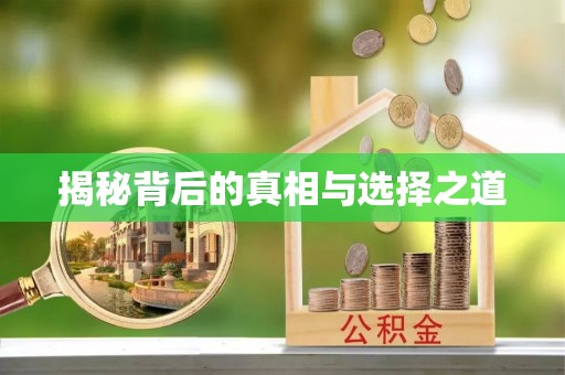 襄阳揭秘背后的真相与选择之道
