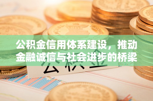 襄阳公积金信用体系建设，推动金融诚信与社会进步的桥梁