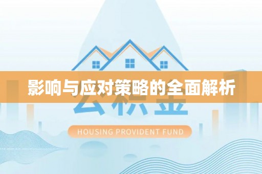 襄阳影响与应对策略的全面解析