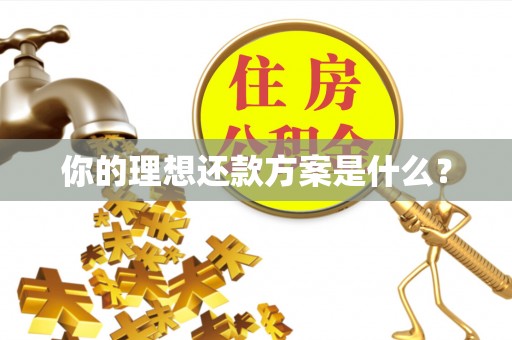 襄阳你的理想还款方案是什么？