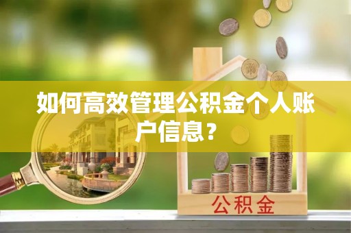 襄阳如何高效管理公积金个人账户信息？