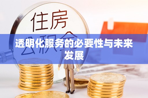 襄阳透明化服务的必要性与未来发展