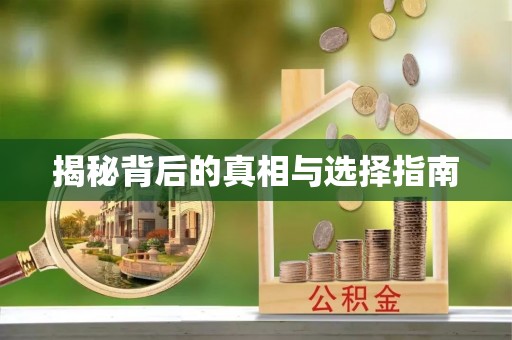 襄阳揭秘背后的真相与选择指南