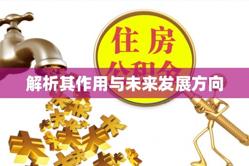 襄阳解析其作用与未来发展方向