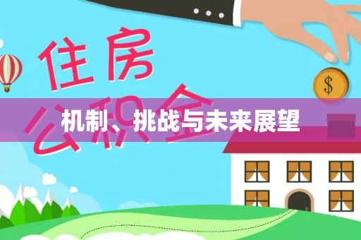 襄阳机制、挑战与未来展望