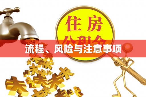 襄阳流程、风险与注意事项