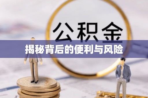 襄阳揭秘背后的便利与风险