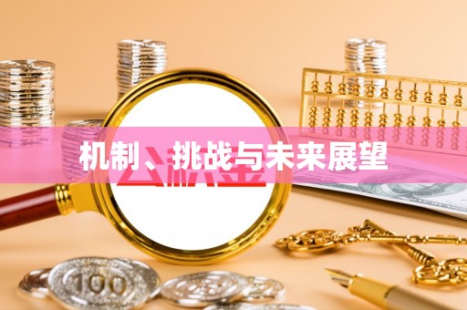 襄阳机制、挑战与未来展望